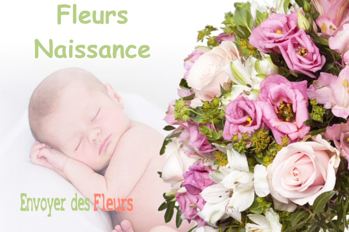 lIVRAISON FLEURS NAISSANCE à VALJOUFFREY